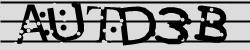 Retype the CAPTCHA code from the image